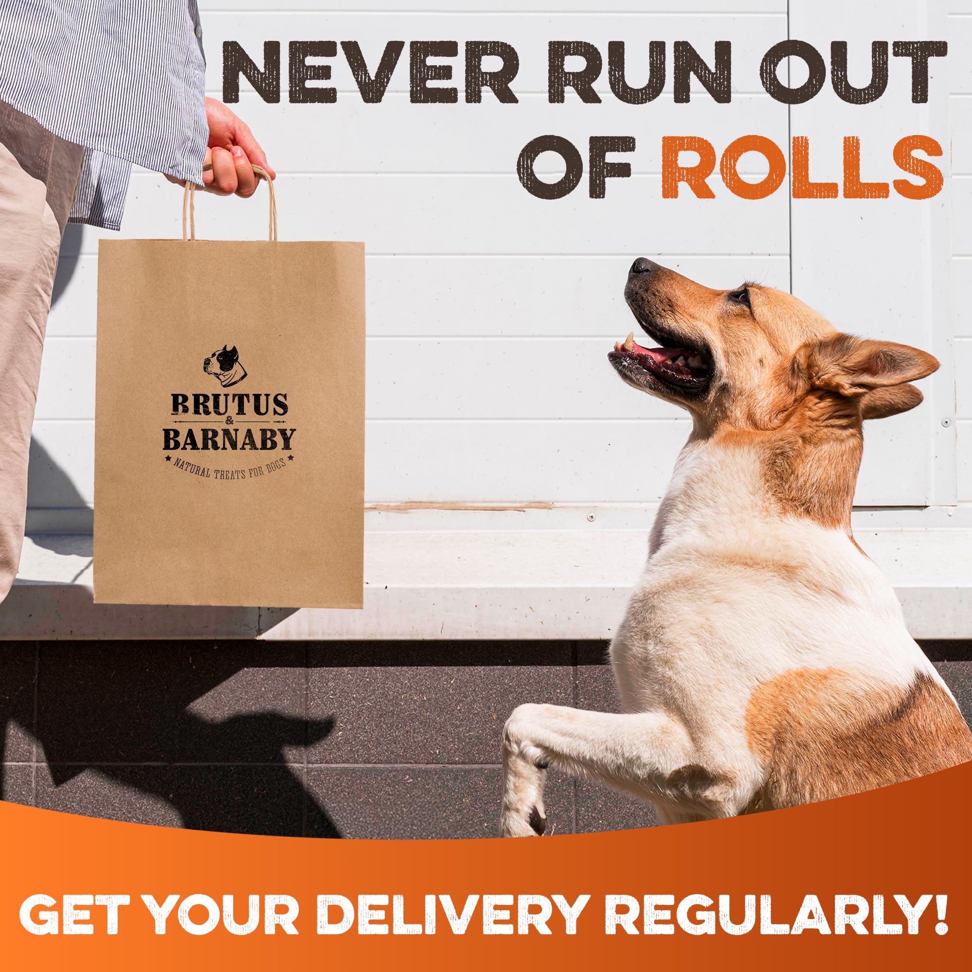 Brutus & Barnaby rollos presentan 5 piezas para control de porciones