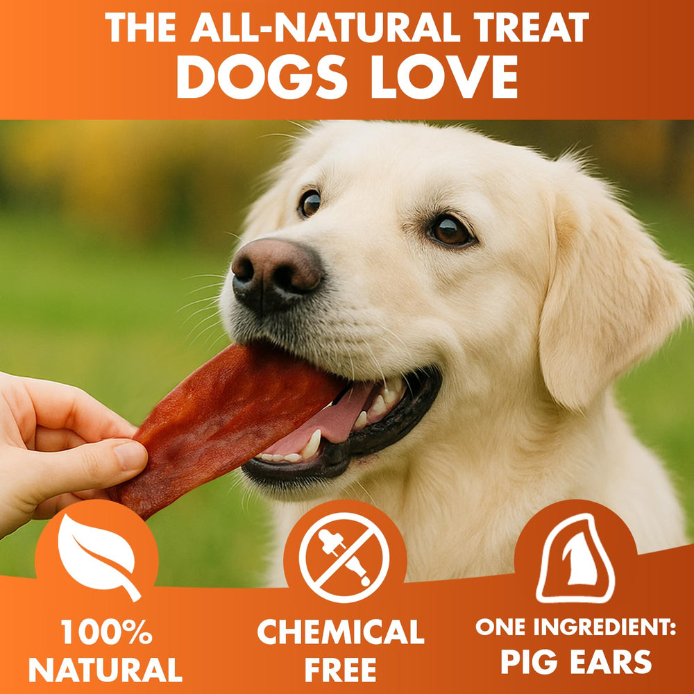 BRUTUS & BARNABY orejas cerdo cocidas lentamente, sabor natural para perros.