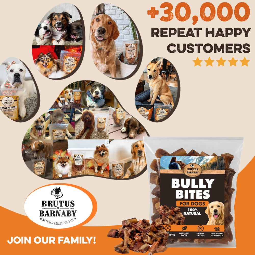 BRUTUS & BARNABY Paquete de 2 libras para ahorro y conveniencia