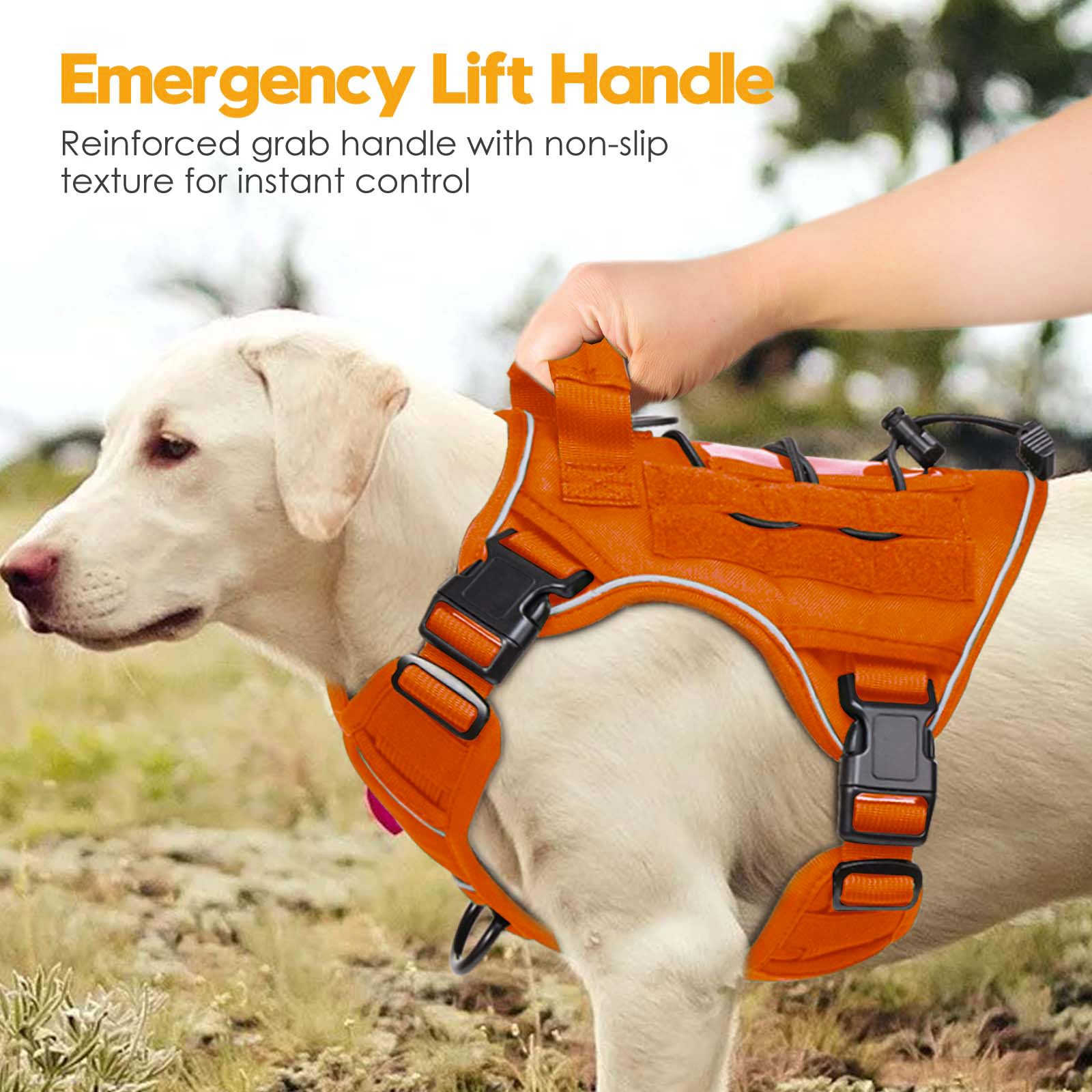 Color naranja del arnés Bruvoalon, ideal para paseos al aire libre.