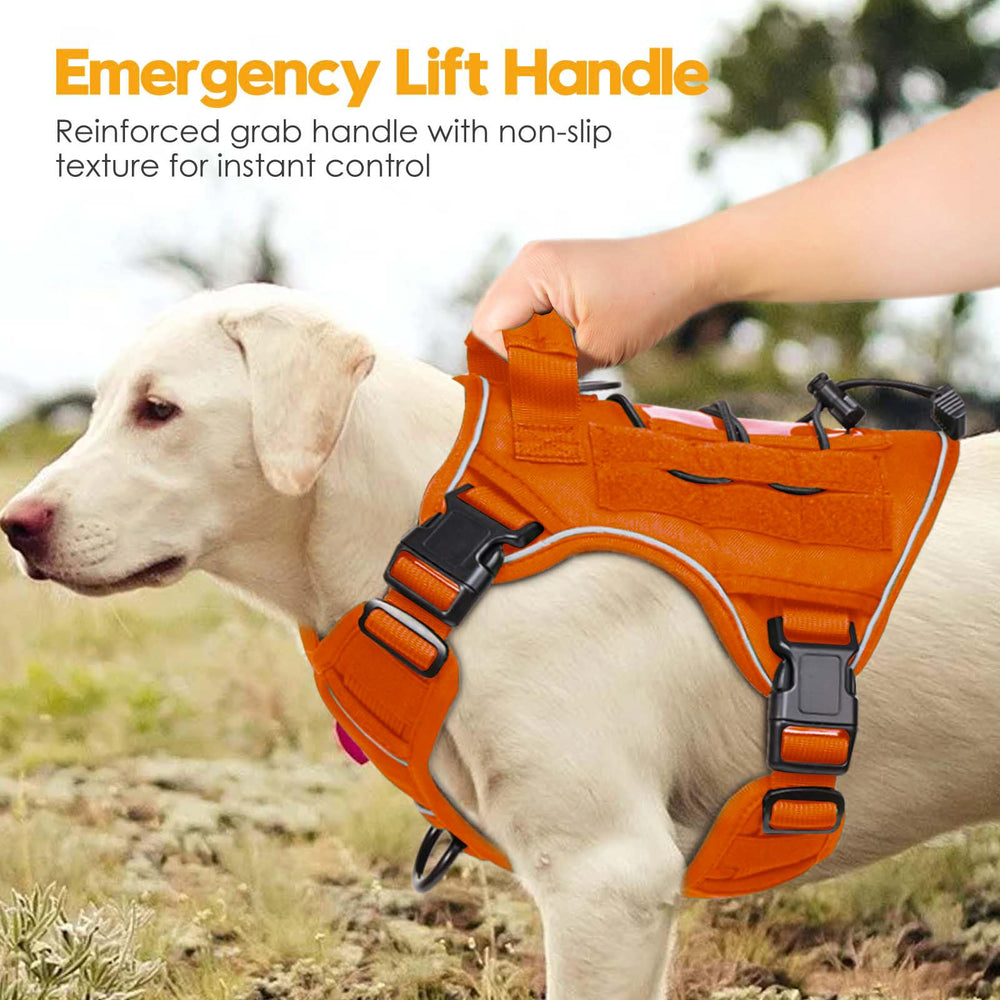 Color naranja del arnés Bruvoalon, ideal para paseos al aire libre.