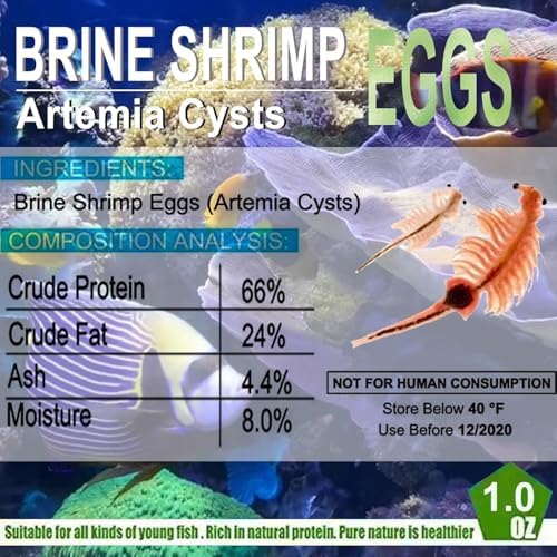 Bubble Magus, alimento vivo para cría y corales en acuario.