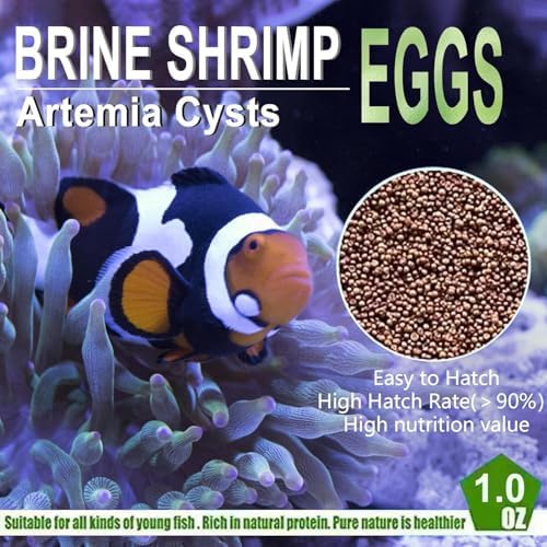 Bubble Magus: huevos-artemia fáciles de incubar en tanque.
