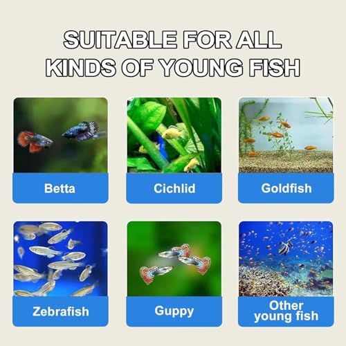 Bubble Magus, huevos de artemia: alta tasa de eclosión para alimentar jóvenes peces.
