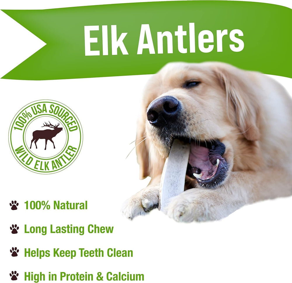 Buck Bone Organics masticación natural de asta de ciervo para higiene dental.