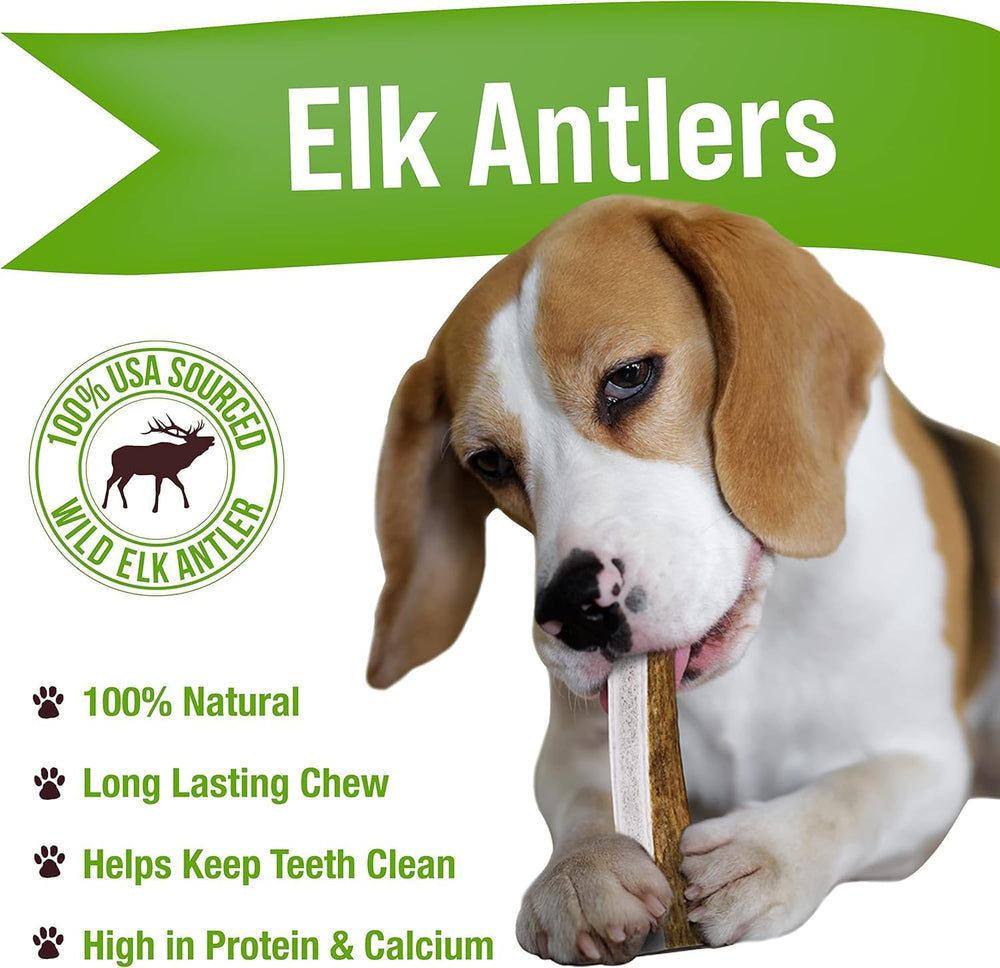Masticador para perro Buck Bone Organics con astas de alce, apoyo a la higiene bucal.