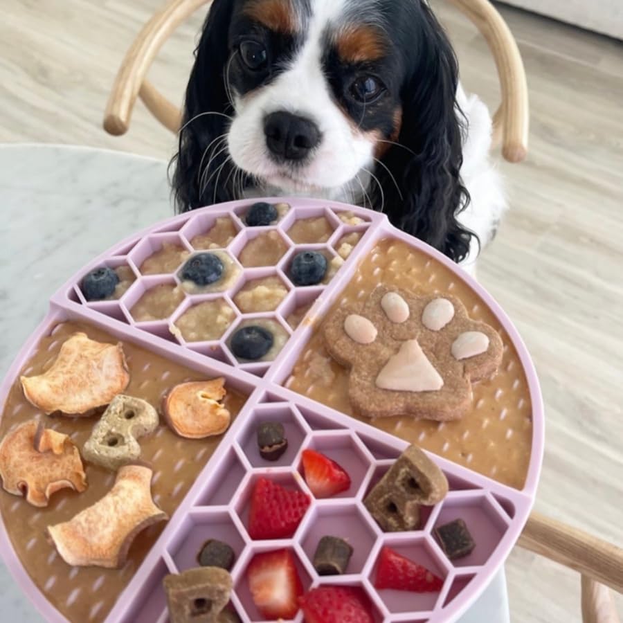 Colágeno de pollo de BUDDY BUDDER para perros, apoyo suave
