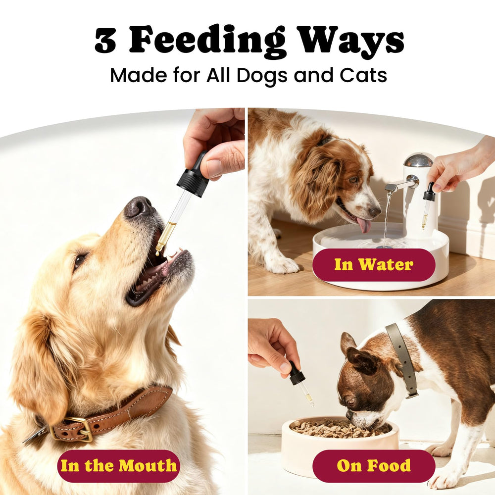 BuddyCheer cúrcuma para perros: fórmula antiinflamatoria para uso diario.