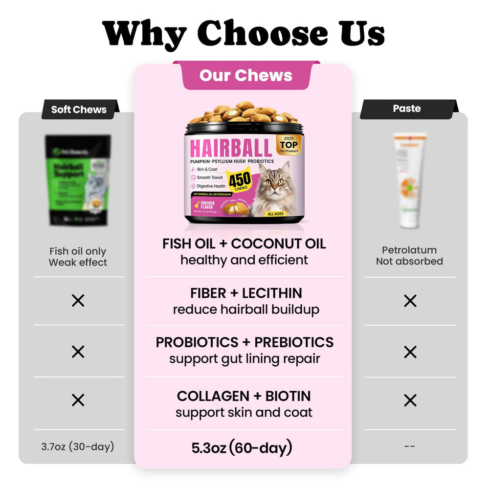 BuddyCheer fiber-enzyme blend emphasizes fiber and enzymes supporting steady transit