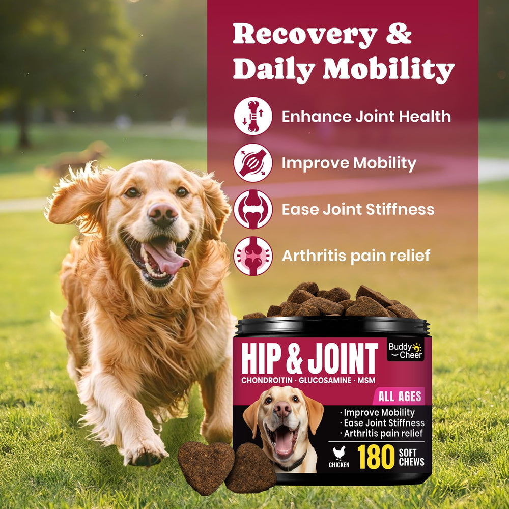 BuddyCheer glucosamina para perros senior, ayuda a la flexibilidad diaria.