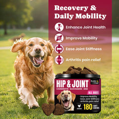 BuddyCheer glucosamina para perros senior, ayuda a la flexibilidad diaria.