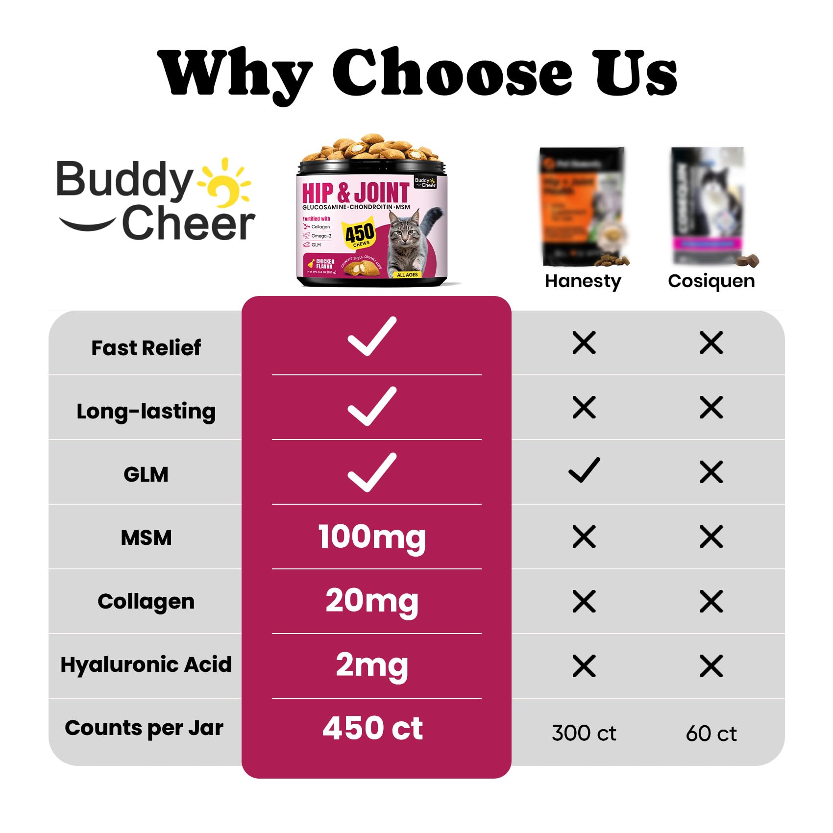 BuddyCheer omega-3 and green-lipped mussel bottle supports joint comfort