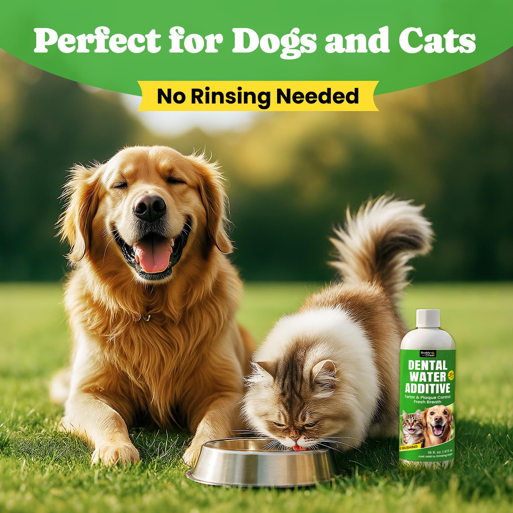BuddyCheer: recomendación veterinaria para cuidado diario de dientes.