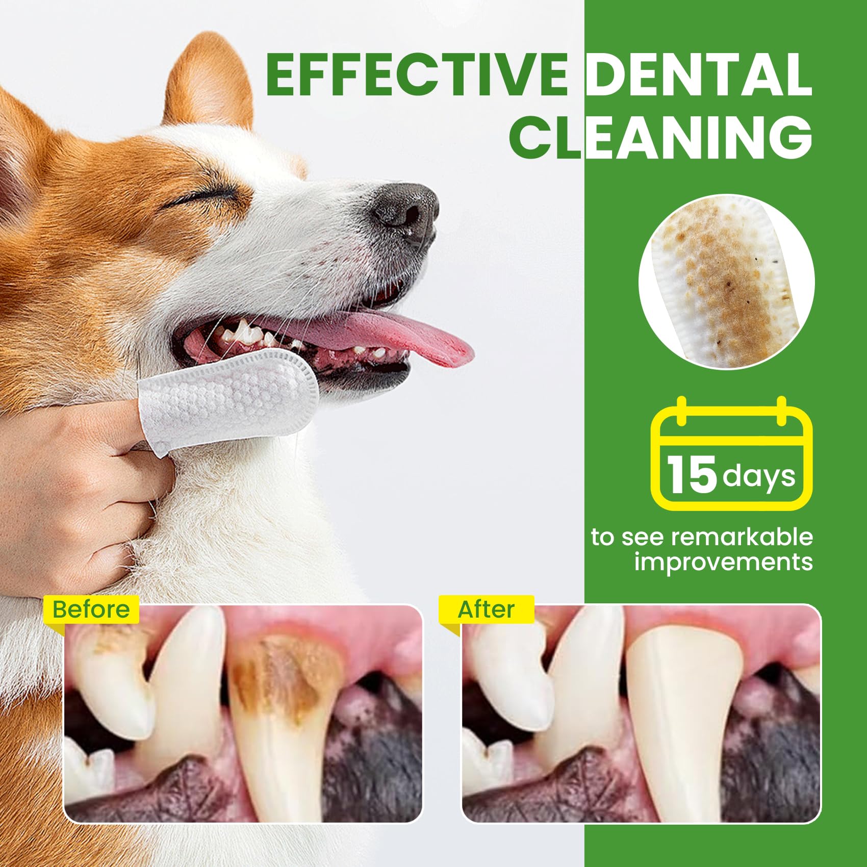 BuddyCheer: tamaño práctico para llevar en viajes y rutas de higiene dental
