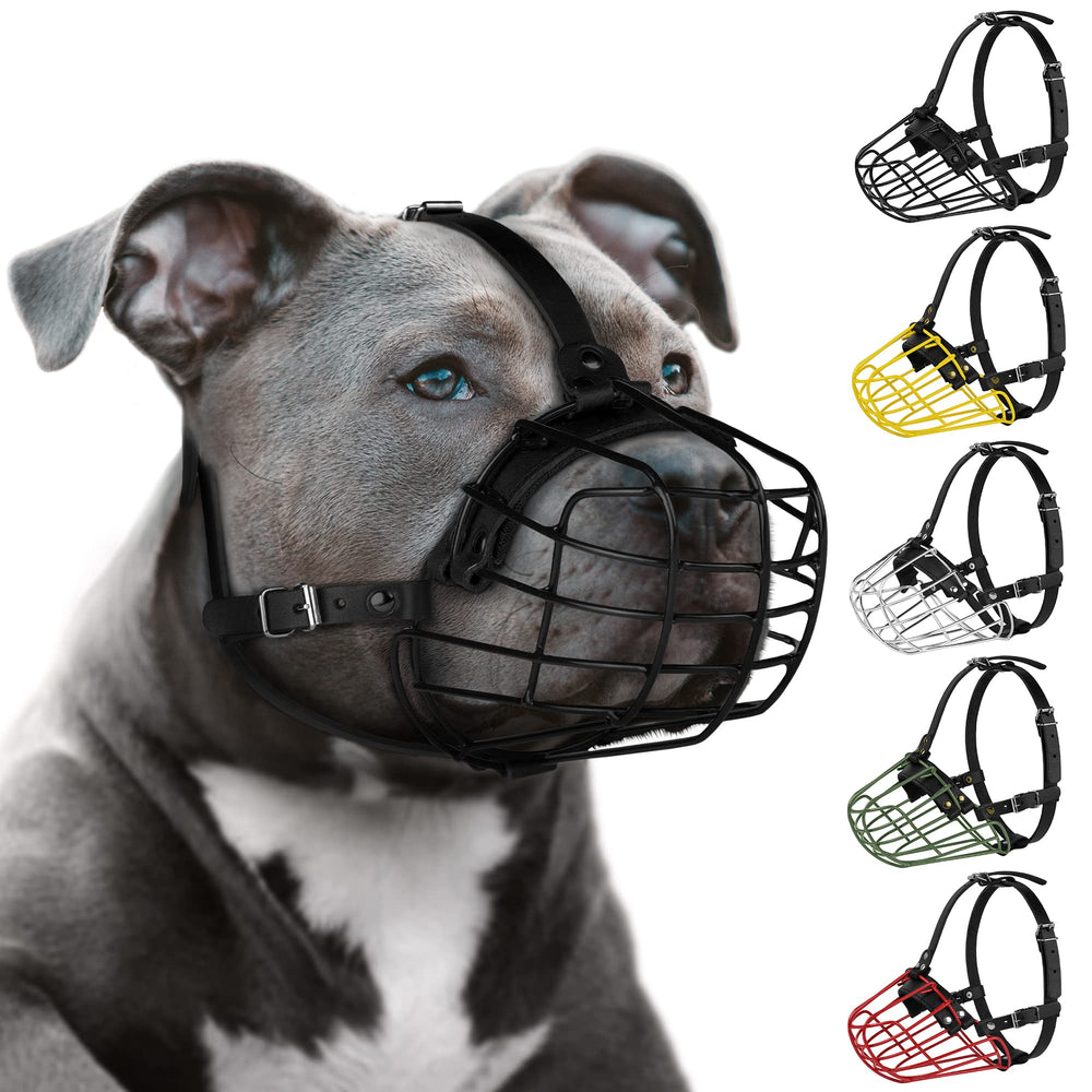 Budkas bozal pitbull con malla metálica para paseos seguros.