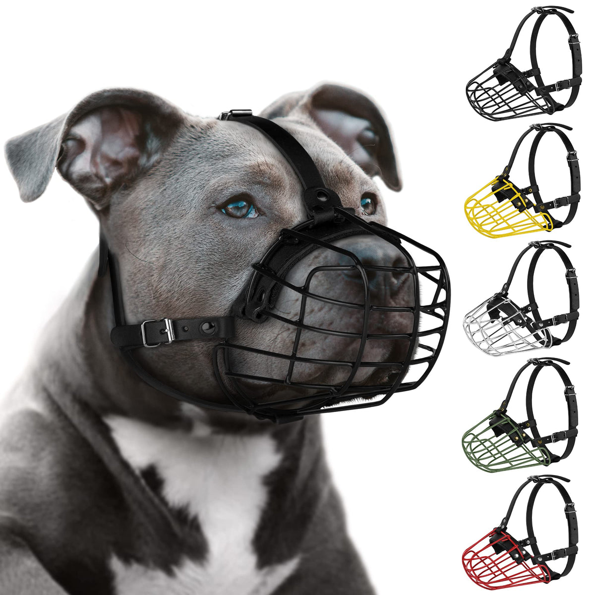 Budkas bozal pitbull con malla metálica para paseos seguros.