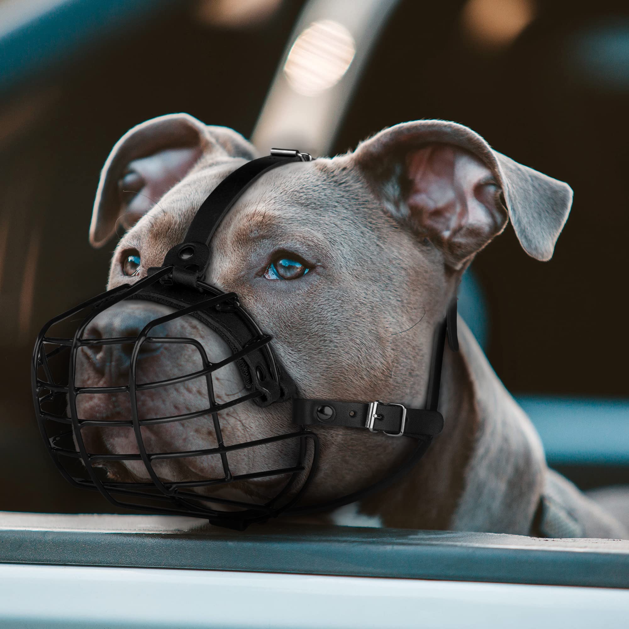 Budkas correa de cuero ajustable oliva para perros grandes.