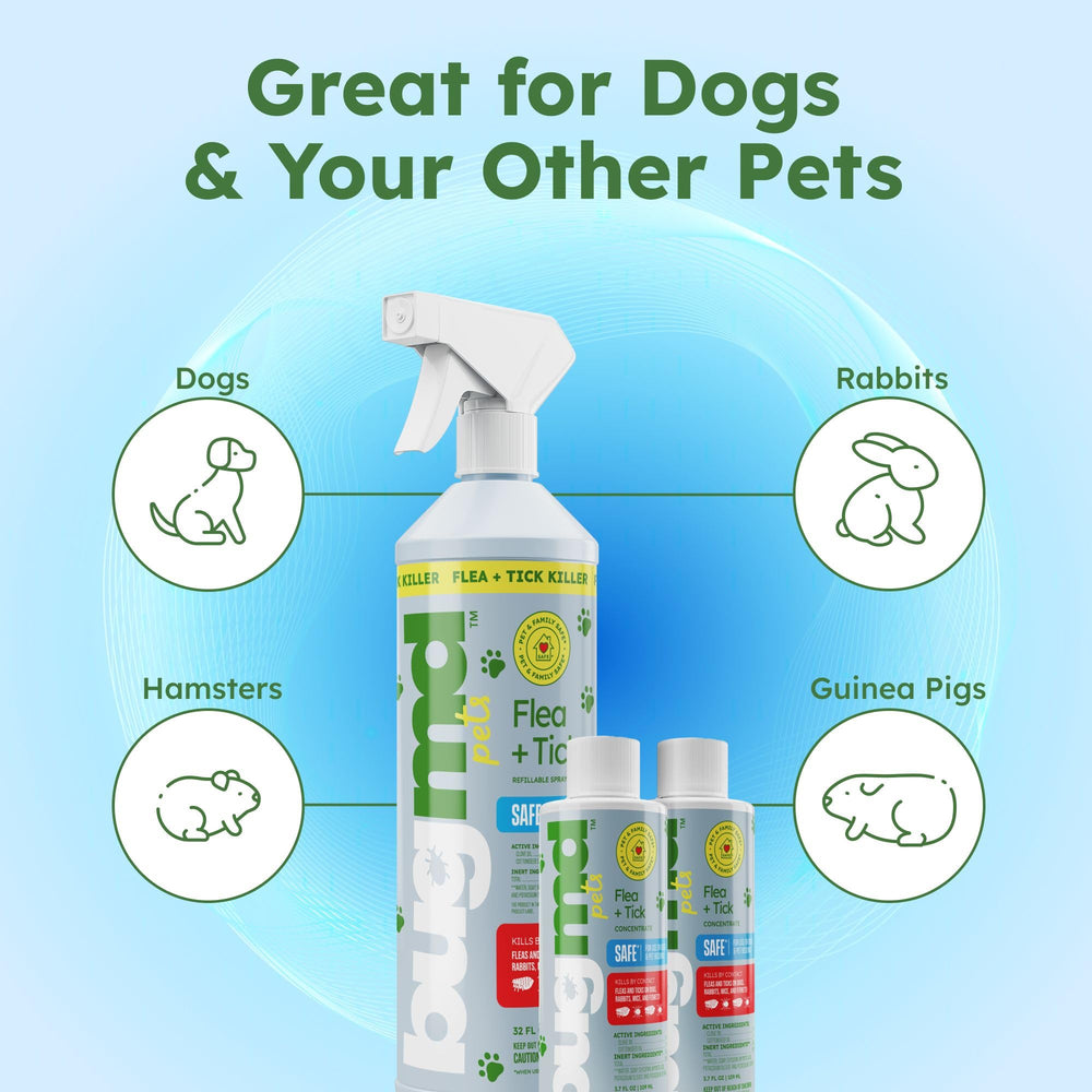 BugMD spray seguro para camas y transportines de mascotas.