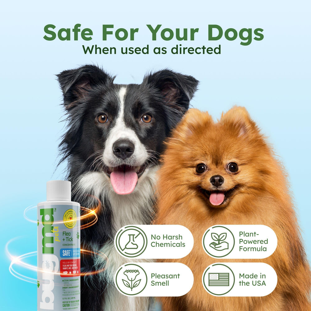 BugMD concentrado para perros, enfoque en zonas de juego para controlar pulgas y garrapatas.