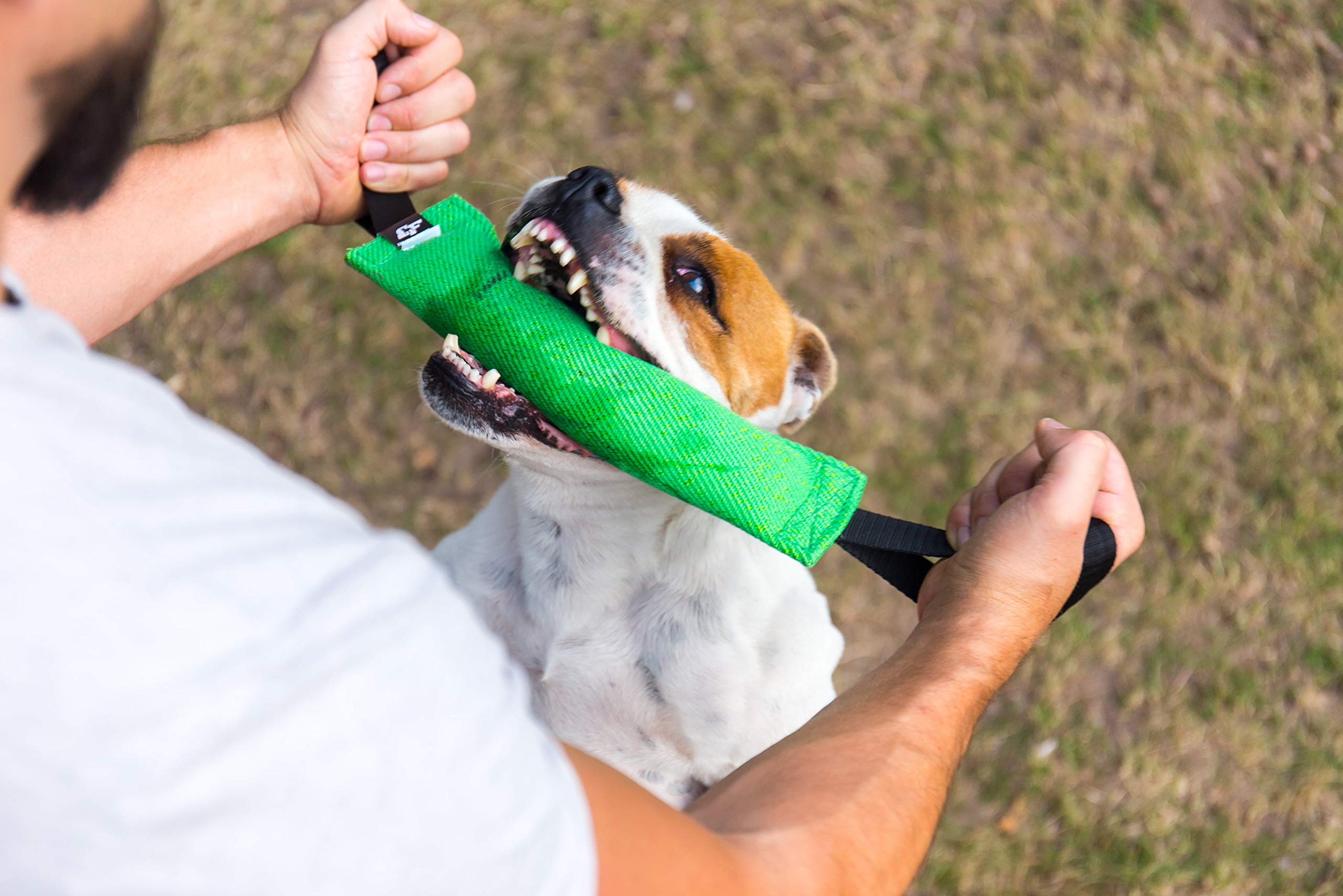 Bull Fit K9, ideal para perros medianos y grandes durante sesiones de entrenamiento
