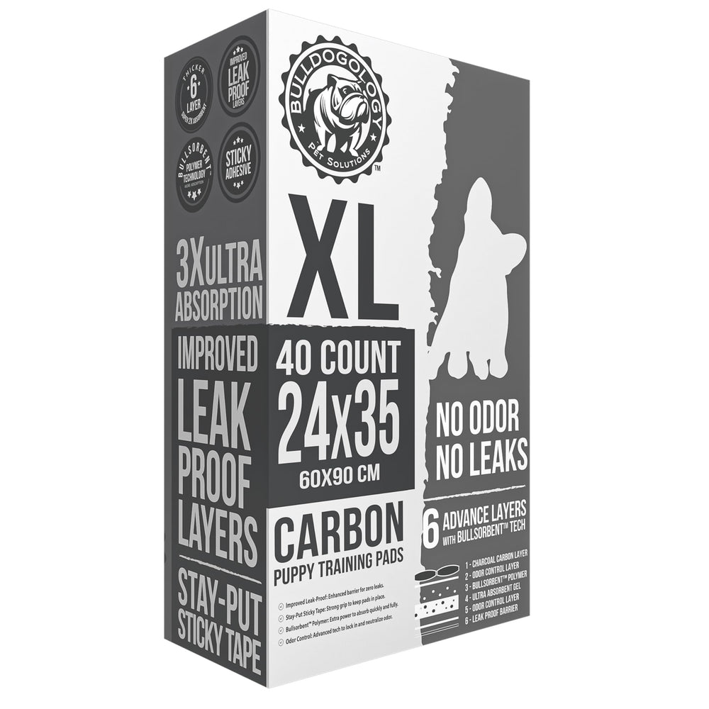 Bulldogology Carbon Black XL: absorción rápida para suelos limpios
