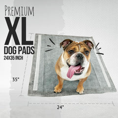 Bulldogology Carbon Black XL: gelación rápida para mantener pisos secos