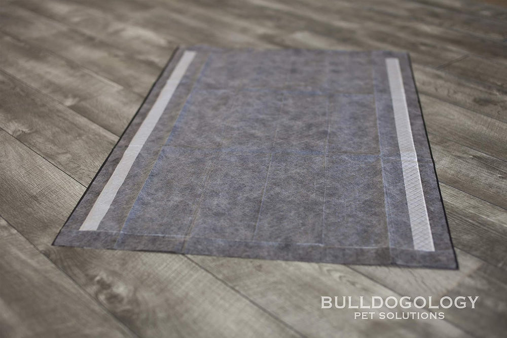 Bulldogology Carbon Black XL: uso recomendado en apartamentos y casas