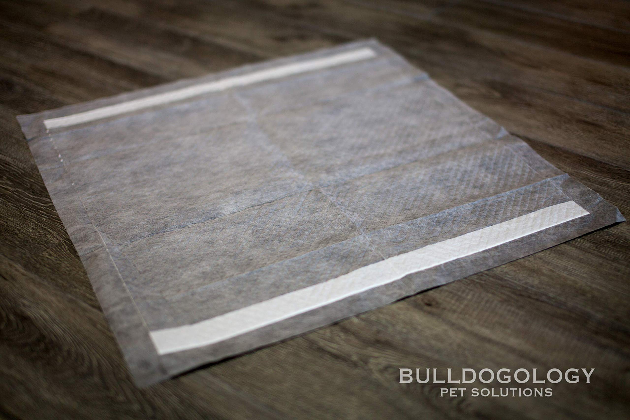 Bulldogology paquete de 50 almohadillas de entrenamiento para familias con mascotas
