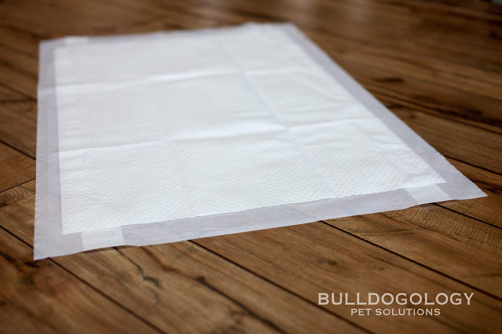 Puppy pads Bulldogology XL absorción rápida para proteger suelos y alfombras