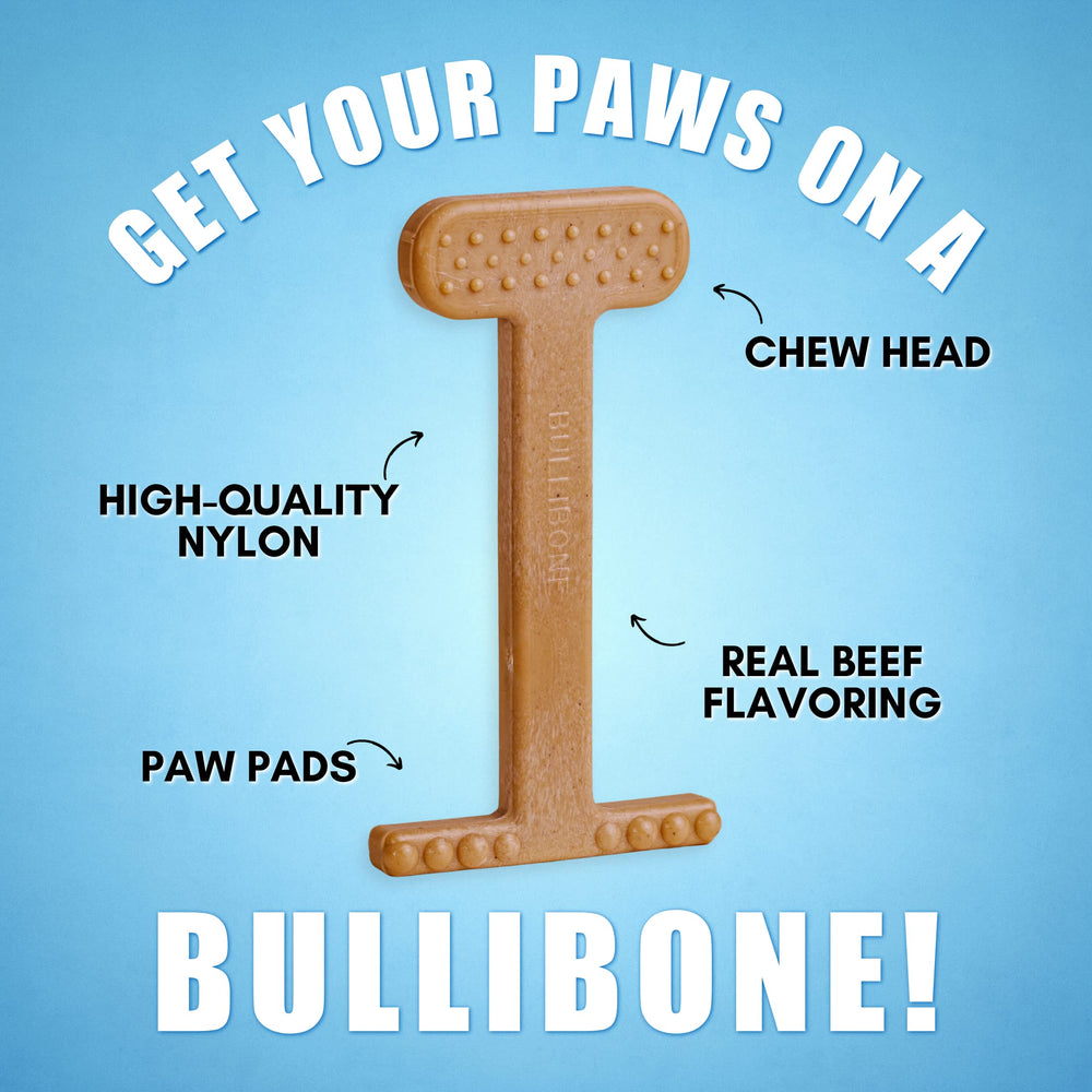 Bullibone juguete duradero para perros pequeños con diseño ergonómico.