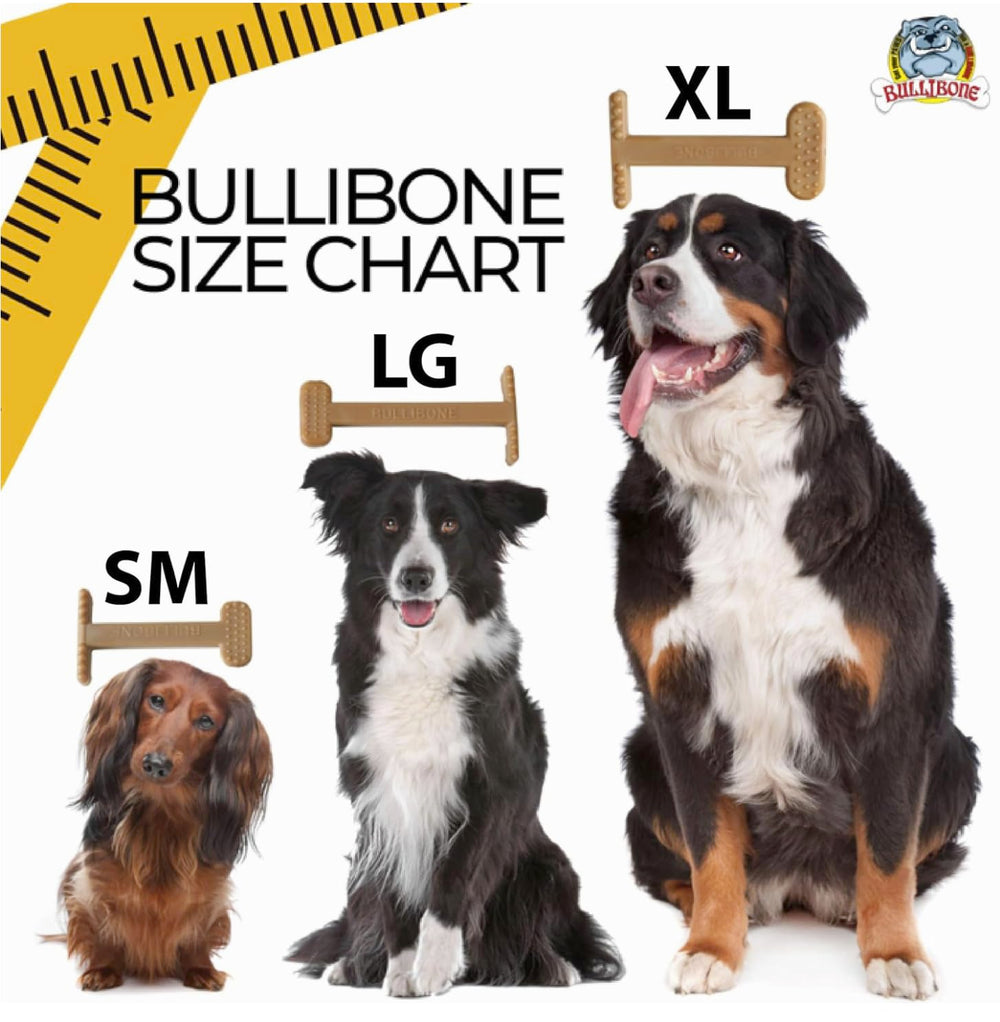Bullibone paquete tres unidades, opción económica para perros habituales de masticación.