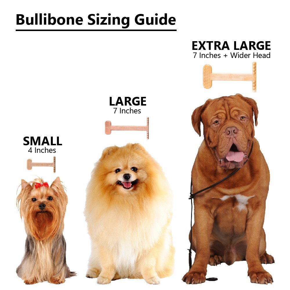 Bullibone uso diario ideal para perros pequeños en casa