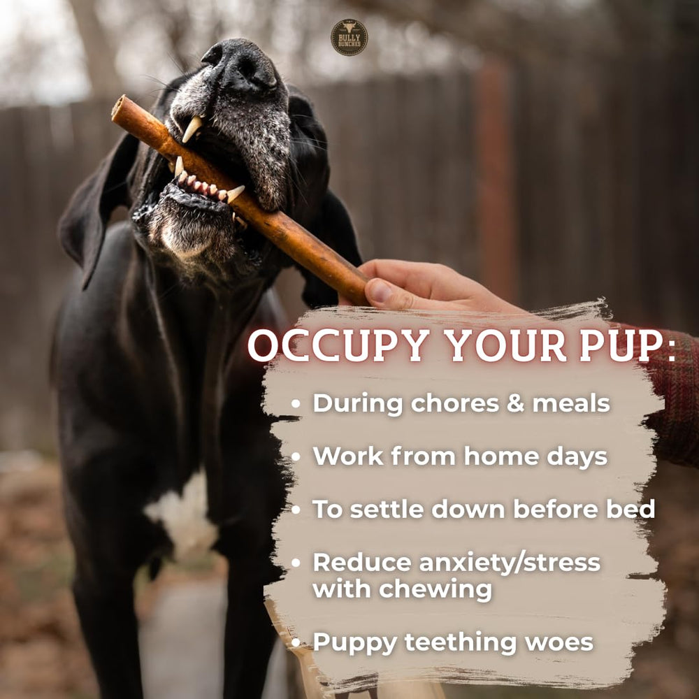 Bully Bunches masticable de larga durabilidad para perros que aman morder.
