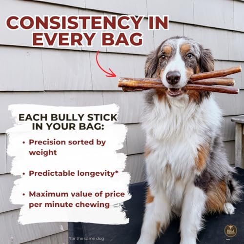 Bully Bunches para perros medianos y grandes, masticación controlada.