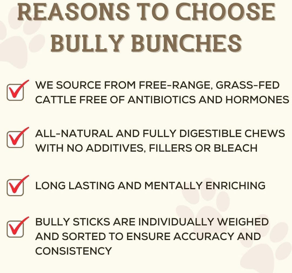 Entretenimiento prolongado para perros pequeños con Bully Bunches Premium
