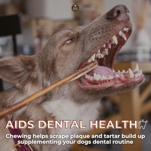 Bully Bunches ayuda a la higiene dental al masticar