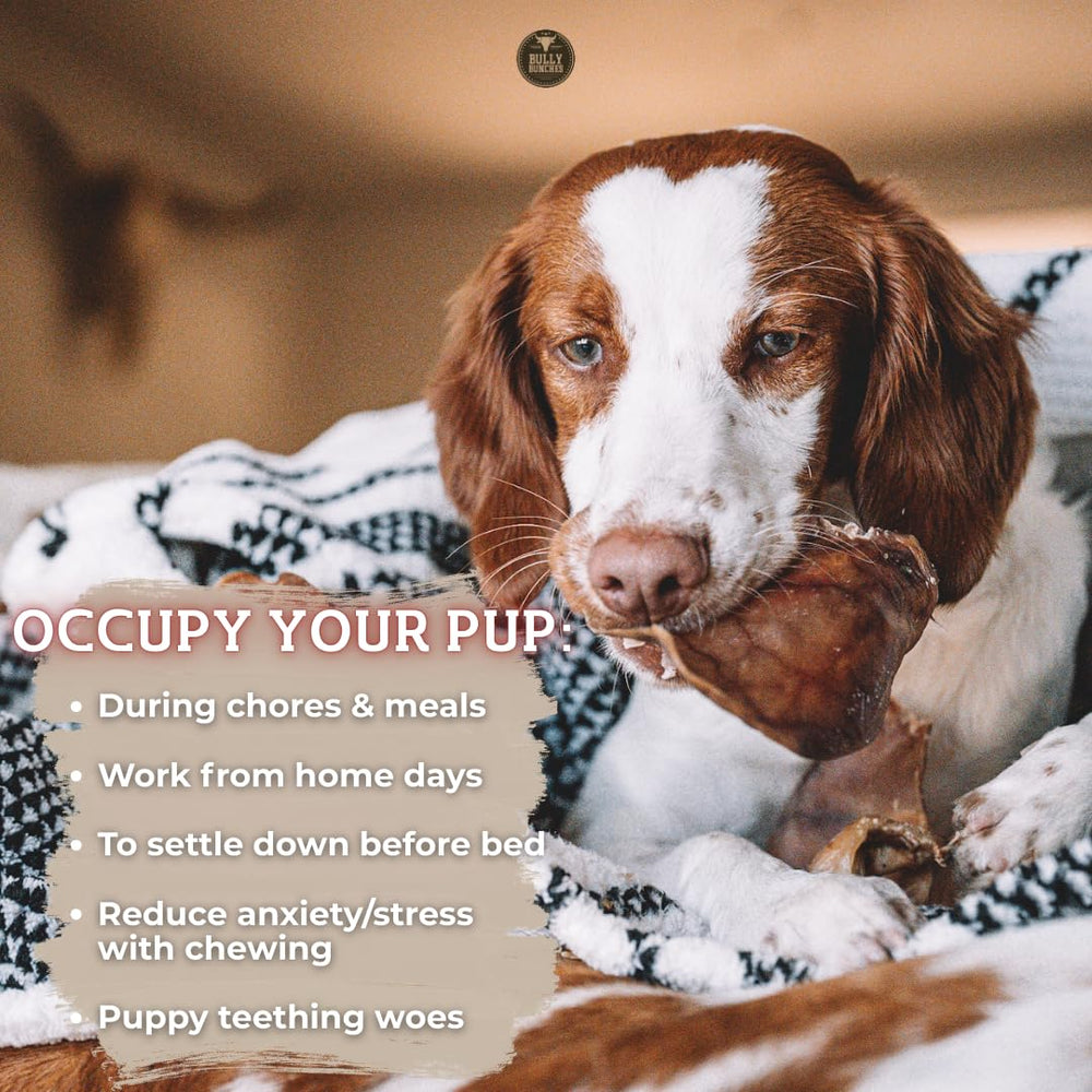 Bully Bunches selección manual: orejas revisadas a mano para consistencia y calidad.