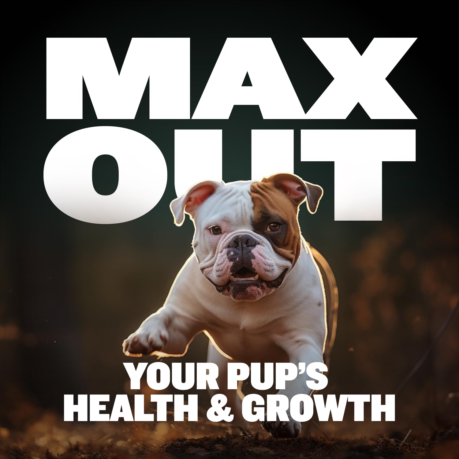 Bully Max 2-en-1 con probioticos para salud digestiva de cachorros.