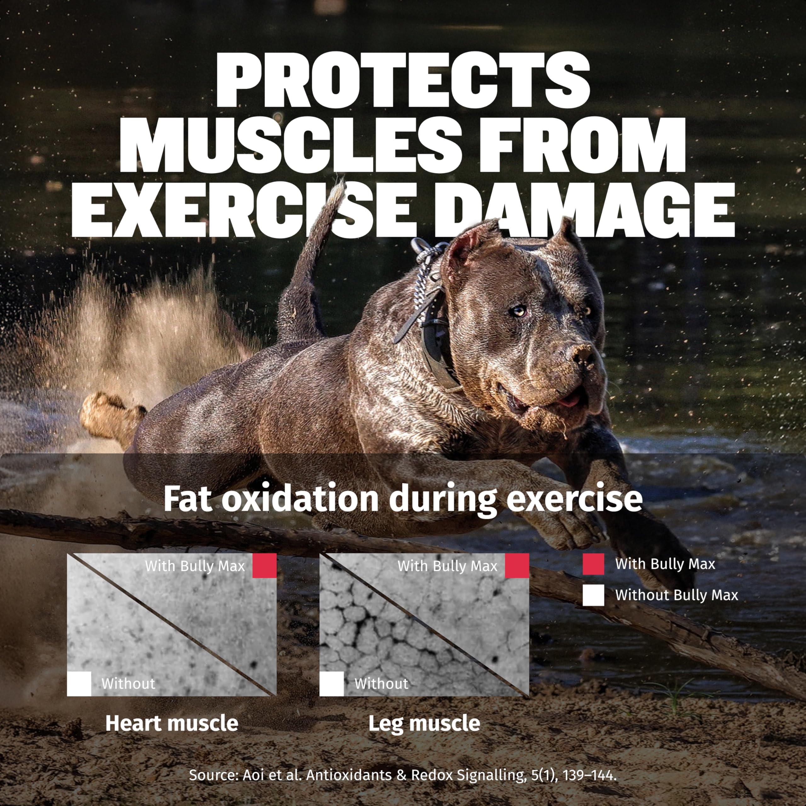 Bully Max 3-en-1 gel muscular para perros, aprobado por veterinarios.