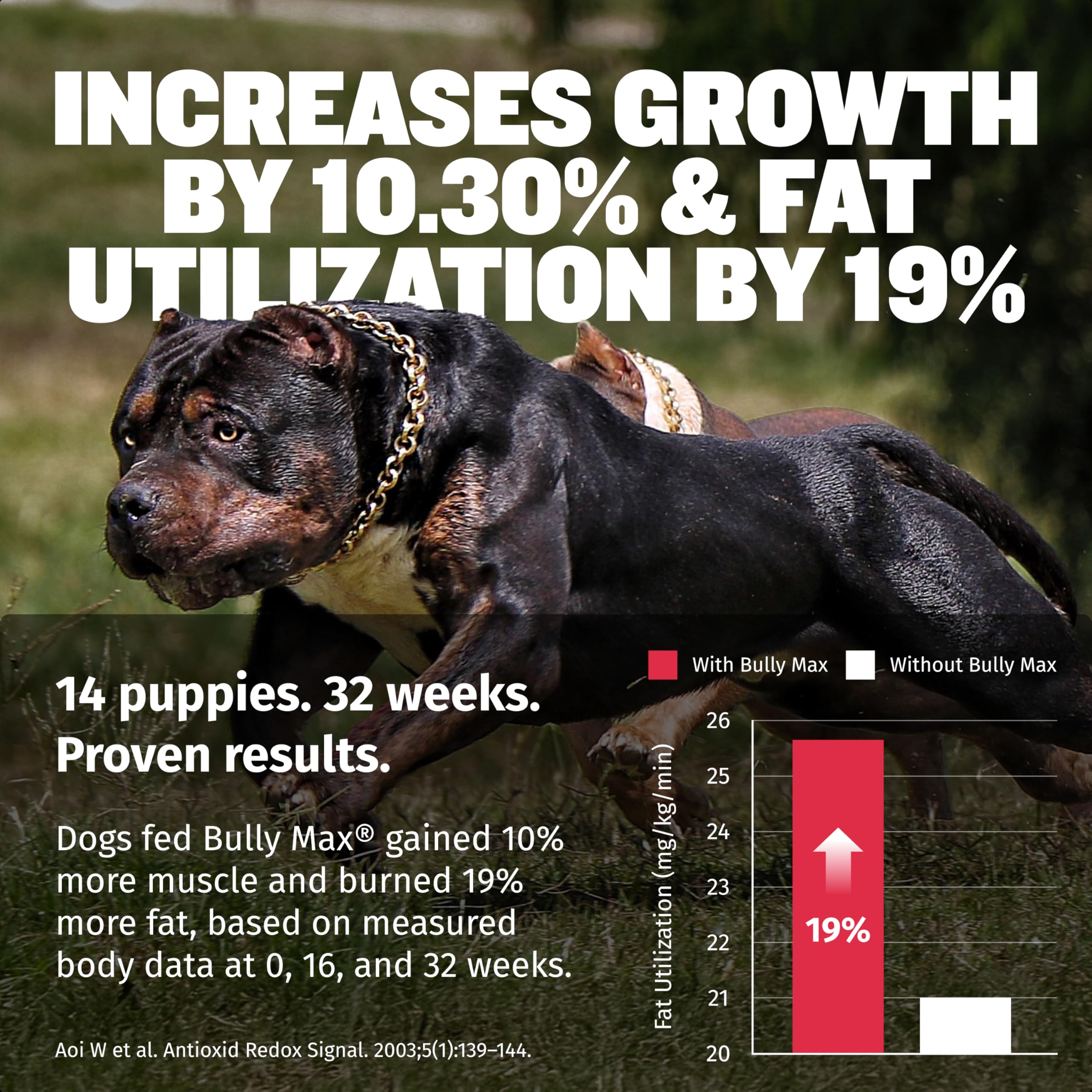 Bully Max 3-en-1 gel muscular para perros, favorece recuperación tras ejercicio.