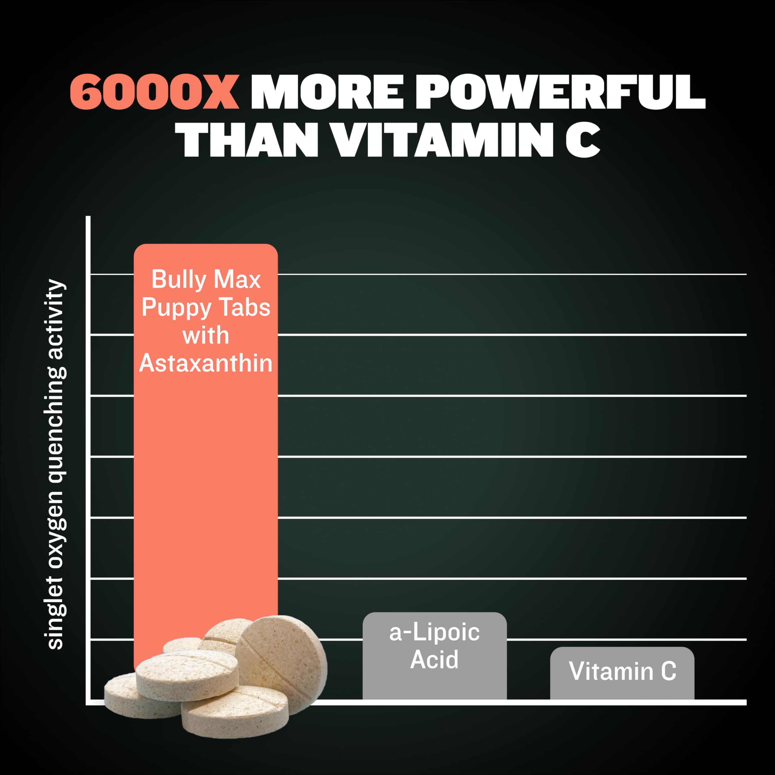 Bully Max apoyo cognitivo y metabolismo: nutrientes clave para desarrollo.