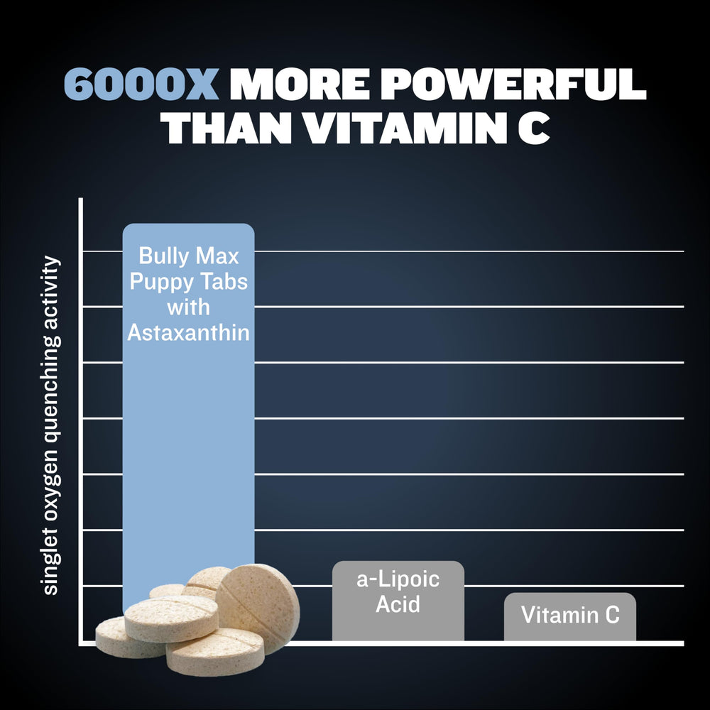 Bully Max calidad premium multivitaminas para perros pequeños.