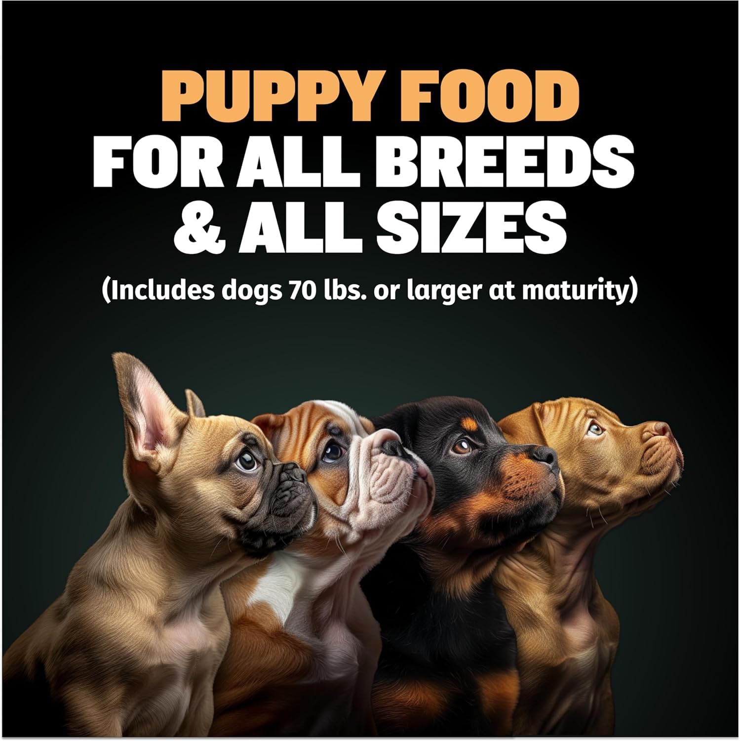 Bully Max nutrición completa para cachorros de todas las edades y tamaños.