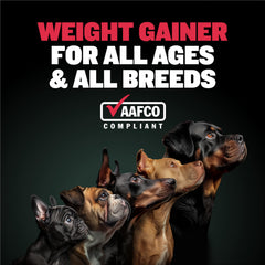 Bully Max dos-en-uno, suplemento de peso y multivitamínico para perros.
