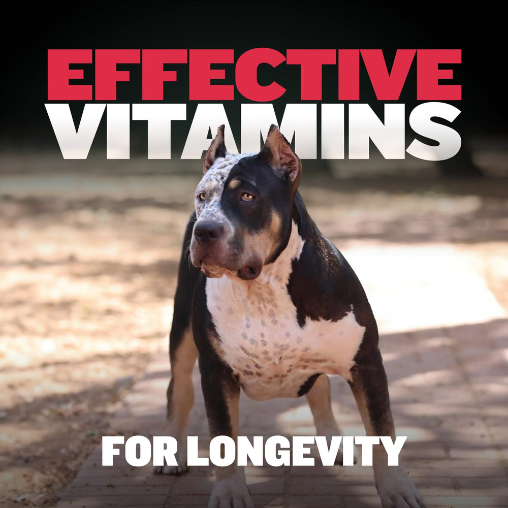 Bully Max inmunidad-energía: nutrición para defensa y vitalidad del perro