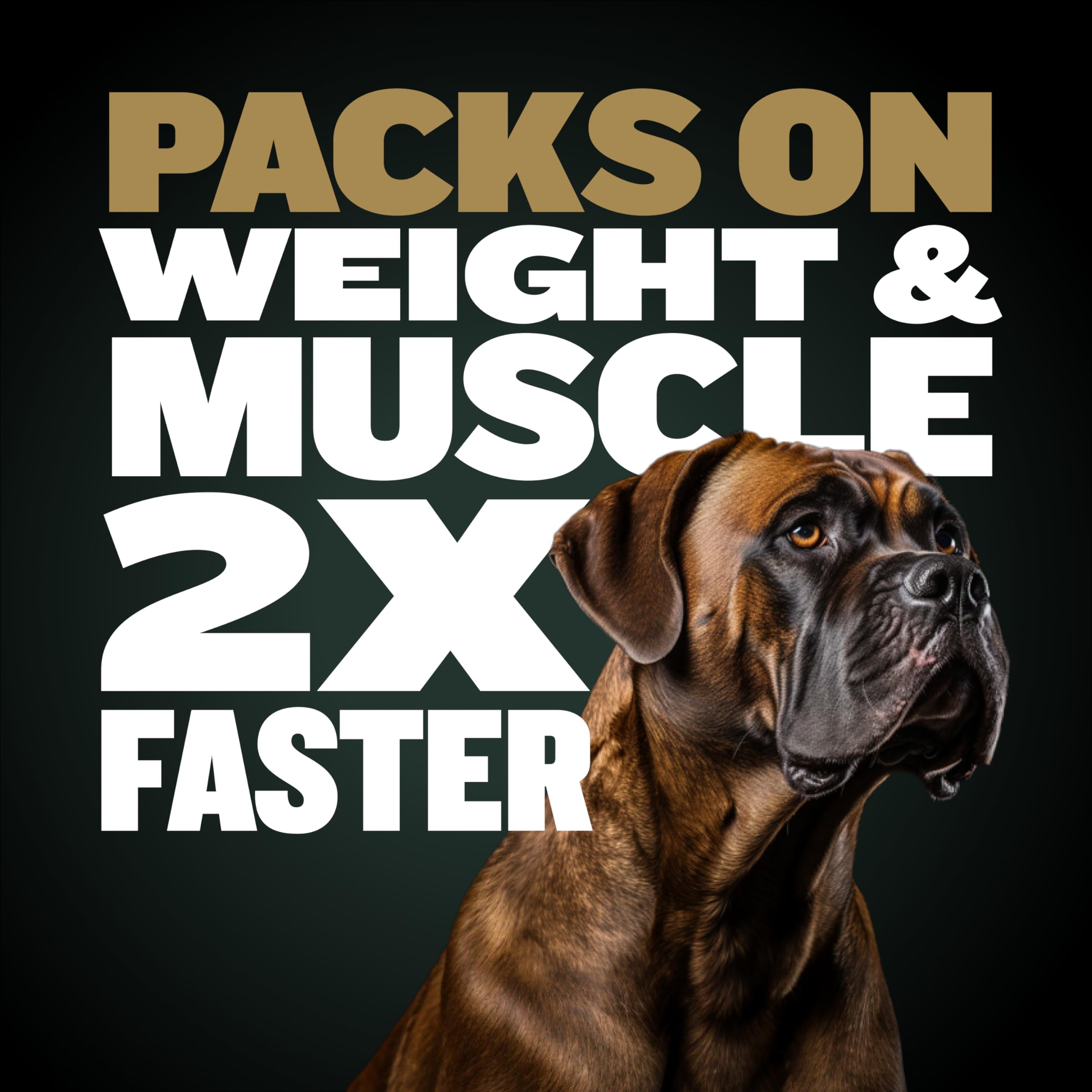 Ingredientes de calidad en Bully Max Pro 2X, origen estadounidense.
