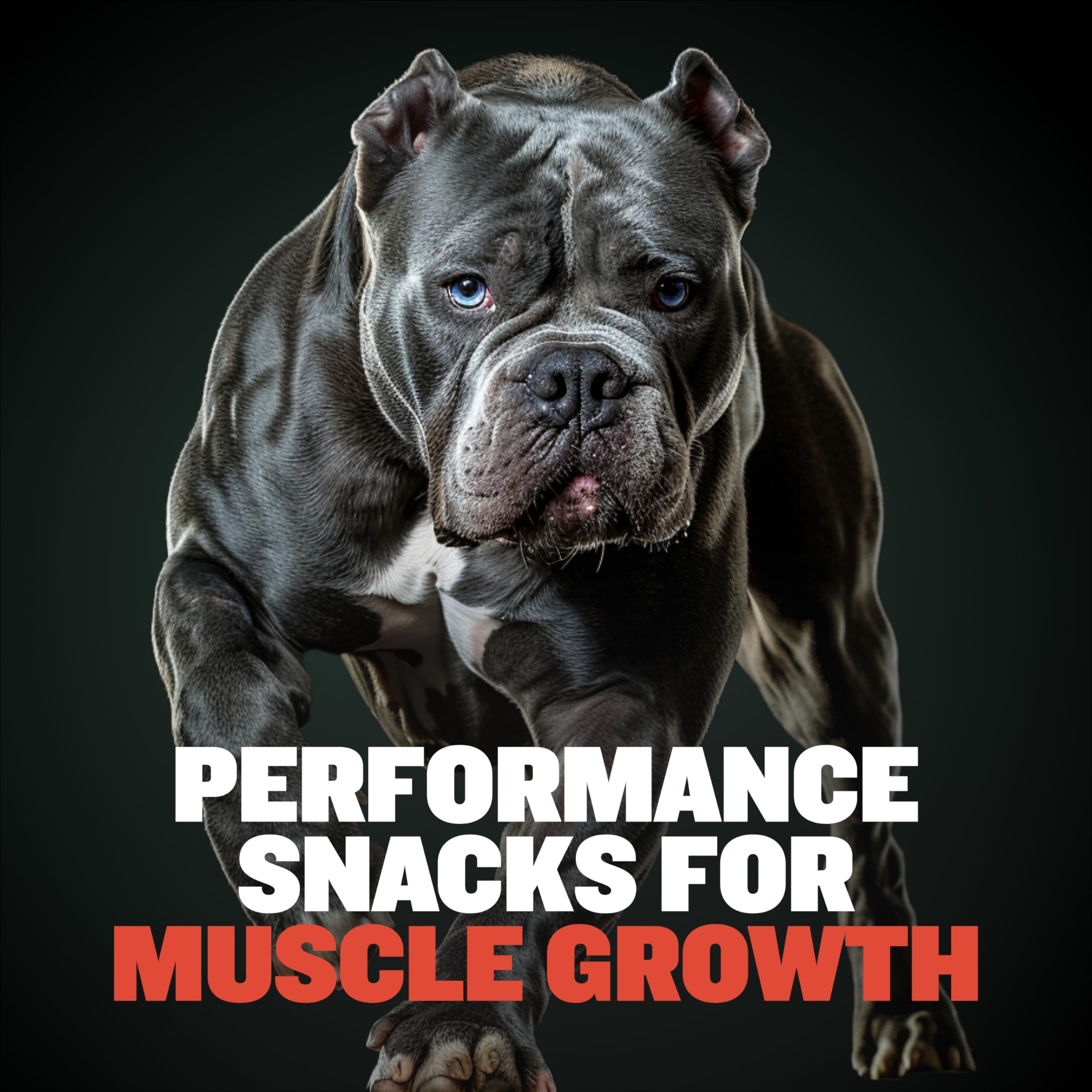 Bully Max: 32% proteína de res para músculos y energía diaria.