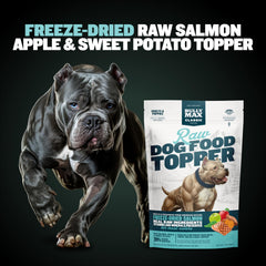 Bully Max complemento de salmón para perros y cachorros, ideal para variedad.