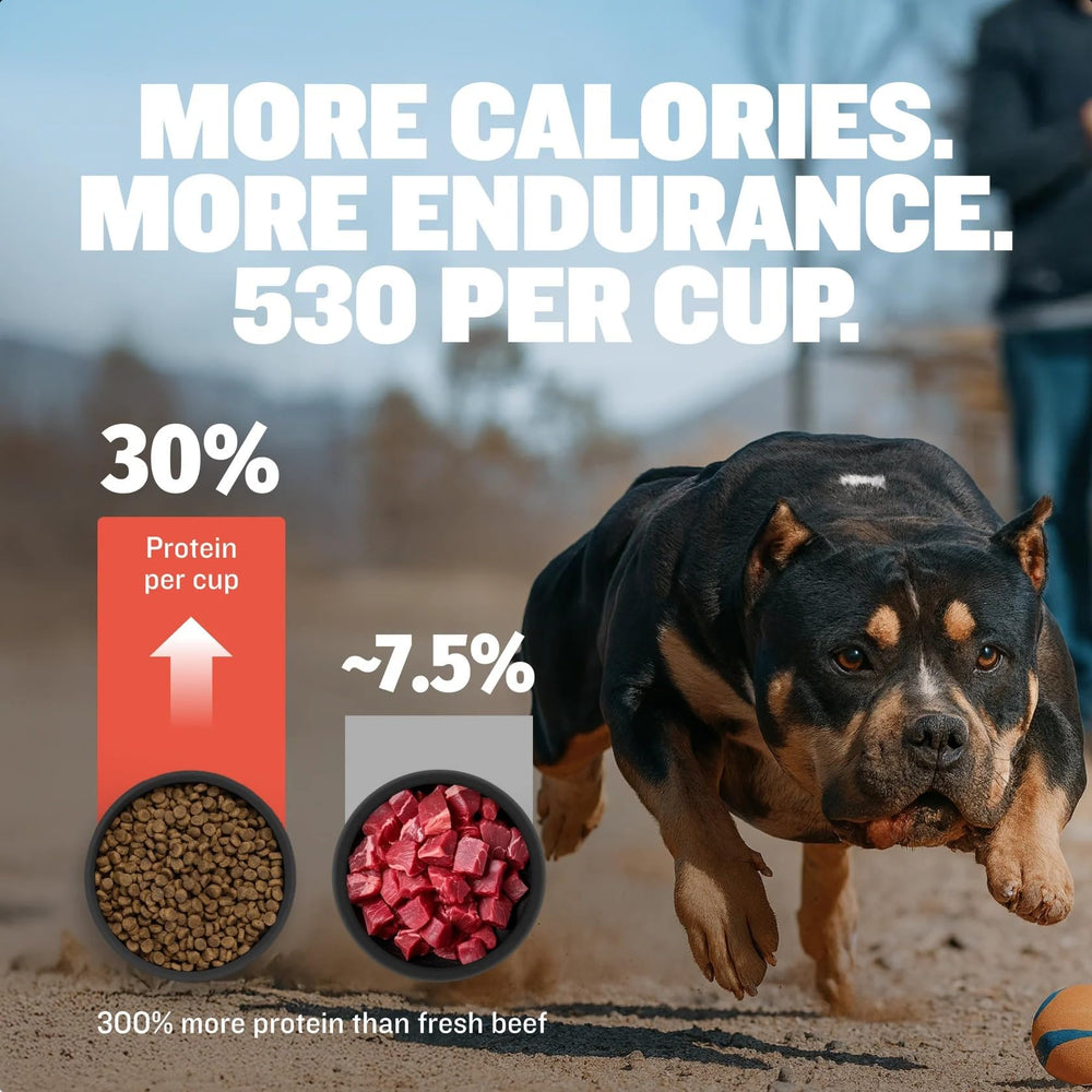 Bully Max superalimentos para perros, mezcla de bayas y verduras para defensa natural.