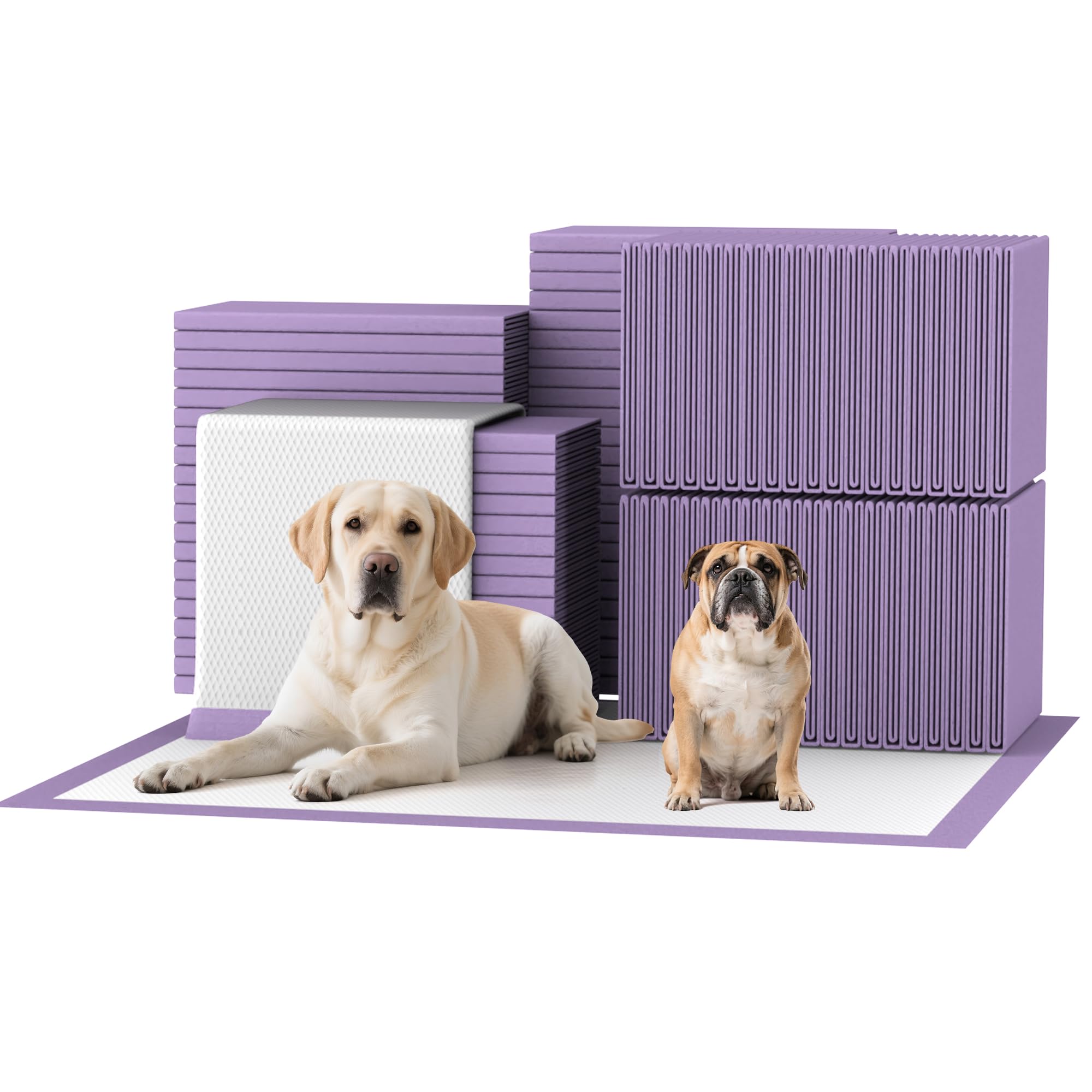 Bulubaky almohadillas absorbentes para perros con lavanda y control de olores en casa.